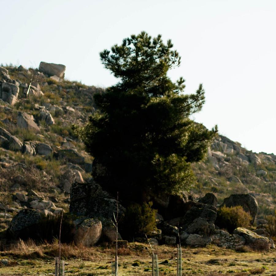 Vila Quinta Do Chaozinho Alijó Exteriér fotografie