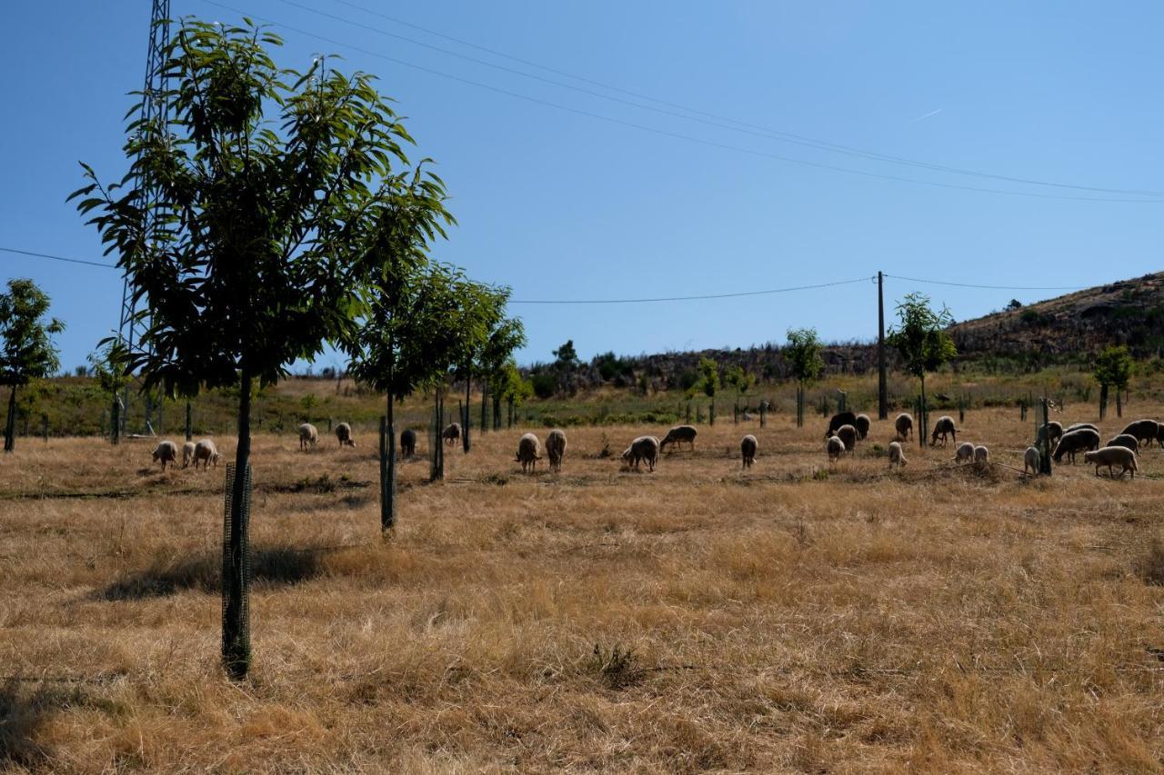 Vila Quinta Do Chaozinho Alijó Exteriér fotografie