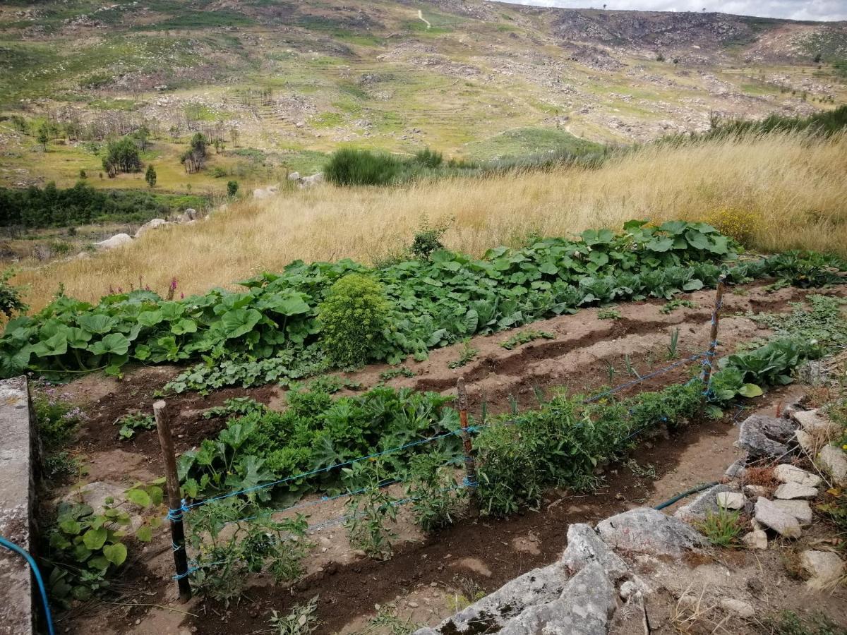 Vila Quinta Do Chaozinho Alijó Exteriér fotografie